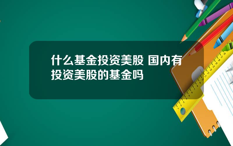 什么基金投资美股 国内有投资美股的基金吗